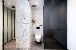 The Imperial (D9), Condominium #573530671